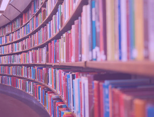 How to Apply for SUSI Grants in Ireland